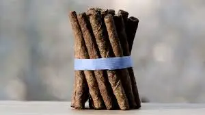 نیکوتین جویس و سالت